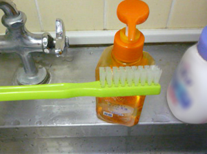 イメージ：掃除ブラシに中性洗剤を付ける