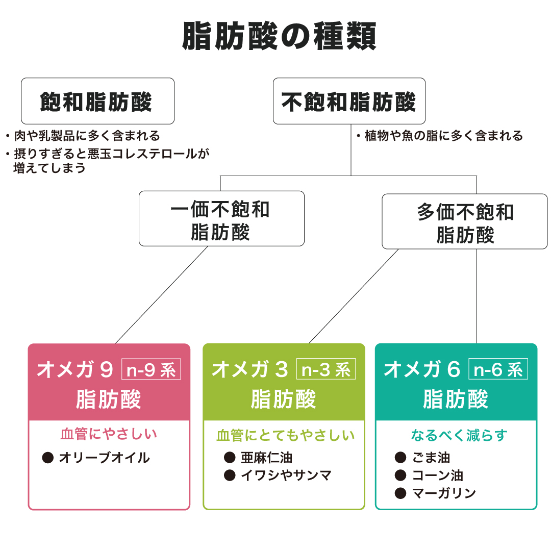 図表:脂肪酸分類図